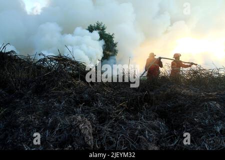 SUMATRA DU SUD, 28 juin 2022 (Xinhua) -- les pompiers tentent d'éteindre le feu des tourbières au village d'Arisan Jaya, dans le sud de Sumatra, en Indonésie, au 28 juin 2022. (Photo de M. Hatta/Xinhua) Banque D'Images