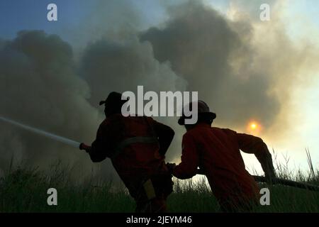 SUMATRA DU SUD, 28 juin 2022 (Xinhua) -- les pompiers tentent d'éteindre le feu des tourbières au village d'Arisan Jaya, dans le sud de Sumatra, en Indonésie, au 28 juin 2022. (Photo de M. Hatta/Xinhua) Banque D'Images