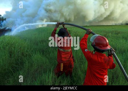 (220628) -- SUMATRA DU SUD, 28 juin 2022 (Xinhua) -- les pompiers tentent d'éteindre le feu des tourbières dans le village d'Arisan Jaya, dans le sud de Sumatra, en Indonésie, au 28 juin 2022. (Photo de M. Hatta/Xinhua) Banque D'Images