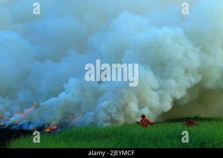 (220628) -- SUMATRA DU SUD, 28 juin 2022 (Xinhua) -- les pompiers tentent d'éteindre le feu des tourbières dans le village d'Arisan Jaya, dans le sud de Sumatra, en Indonésie, au 28 juin 2022. (Photo de M. Hatta/Xinhua) Banque D'Images