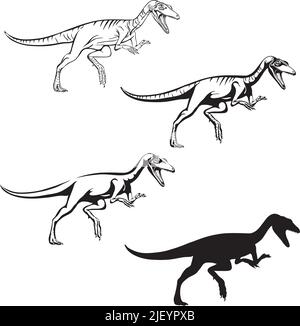 Compsognathus, image réaliste d'un dinosaure, vecteur, positions, illustration, noir et blanc, silhouette, logo, marque, chevron pour la décoration et des Illustration de Vecteur