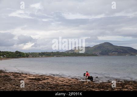 Un cavalier sur la plage de Whiting Bay avec Holy Island sur l'île d'Arran, en Écosse Banque D'Images