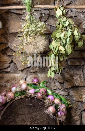 De longs oignons rouges de florence séchant sur un vieux tamis contre un vieux mur en pierre. Avec feuilles de Laurier et séchage d'herbes. Péloponnèse, Grèce. Banque D'Images