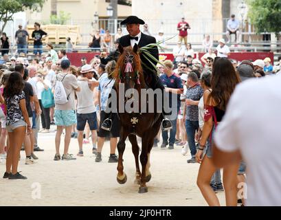 Festivités de Sant Joan à Ciutadella, Minorque. Les chevaux traversent la ville en s'élevant parmi les gens et en courant sur l'esplanade du port. Banque D'Images