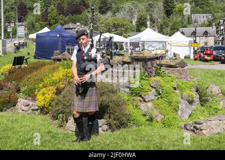 Un jeune homme jouant les cornemuses à Drumnadrochit Craft Fair and Market près du Loch Ness, en Écosse, au Royaume-Uni Banque D'Images