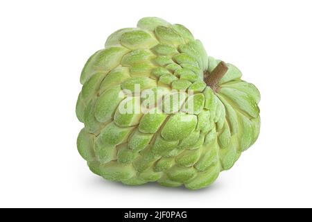 Pomme de sucre ou pomme de crème isolée sur fond blanc avec pleine profondeur de champ. Annona tropicale exotique thaïlandaise ou fruit de cherimoya Banque D'Images
