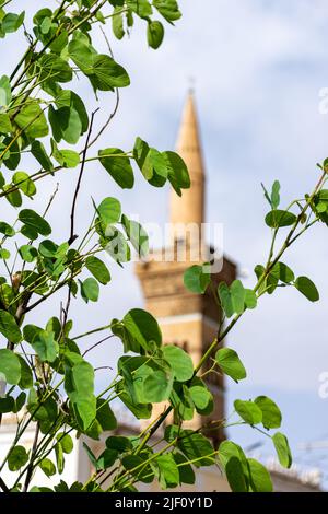 Minaret flou DE LA mosquée EL Atik dans la ville de Setif. Le célèbre monument de la ville. Feuilles vertes au premier plan. Banque D'Images