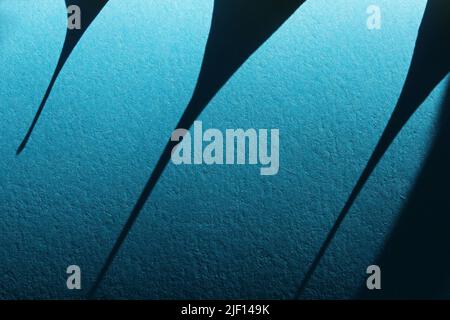 Feuille d'automne sèche sur fond bleu abstrait Banque D'Images