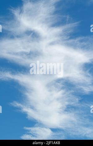 Cirrus, nuages à plumes dans le ciel bleu Banque D'Images