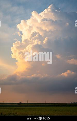 Le nuage de tempête (nom latin: Cumulonimbus calvus) est illuminé par le soleil bas Banque D'Images