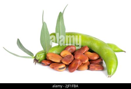 Fèves fraîches dans des gousses avec feuille verte, isolées sur fond blanc. Haricots fava secs Banque D'Images