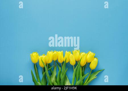 Bouquet de tulipes jaunes sur fond bleu. Bouquet de fleurs avec espace copie, concept de vacances. Carte de vœux Banque D'Images