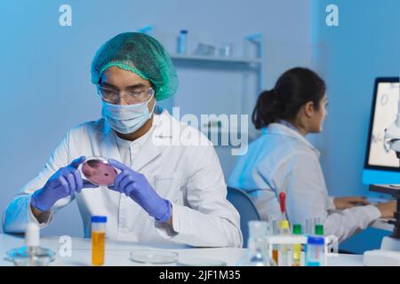 Bactériologiste asiatique concentré et sérieux, jeune homme, sous capuchon chirurgical et masque, assis au bureau et analysant les cellules bactériennes dans la boîte de Petri Banque D'Images