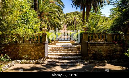 Vue de face du long escalier pavé derrière la porte d'entrée du célèbre jardin botanique de Majorque appelé Jardines de Alfabia avec palmiers. Banque D'Images