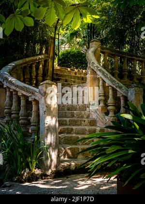 Portrait de vieux escaliers en pierre courbés avec une banister patinée dans l'architecture méditerranéenne au milieu des plantes sous un châtaignier dans une zone d'ombre Banque D'Images