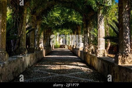 Un sentier rustique pavé à l'ombre d'une pergola idyllique ornée de vieux piliers de pierre surcultivés avec des plantes grimpantes en été. Banque D'Images