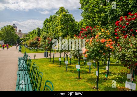 Le Volksgarten est un parc public situé dans le premier quartier de Vienne, en Autriche. Banque D'Images