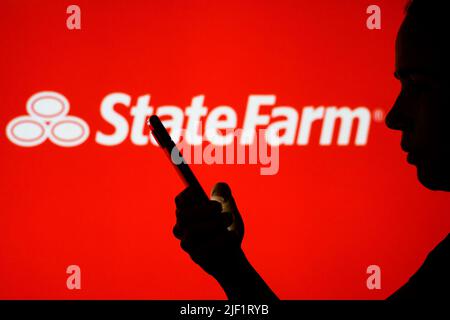 Dans cette illustration, le logo de la ferme d'État est visible sur l'arrière-plan d'une femme silhouetée tenant un téléphone portable. Banque D'Images