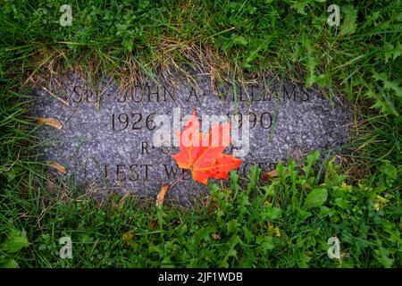 Marqueur de sépulture de vétéran recouvert de feuilles d'érable et entouré d'herbe. Banque D'Images