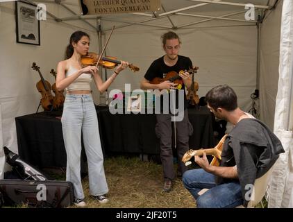 Artistes et public au festival de musique Django Reinhardt à Fontainebleau, France, Europe Banque D'Images