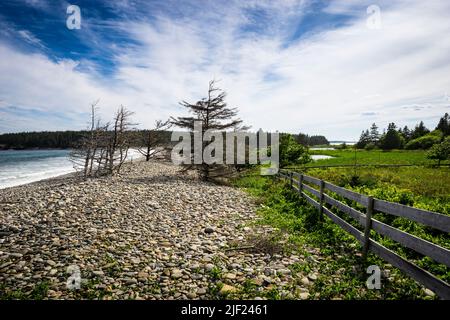 Une clôture longe l'arrière d'une plage de Hirtle's Beach, au printemps rocheux, à Upper Kingsburg, en Nouvelle-Écosse, au Canada. Banque D'Images