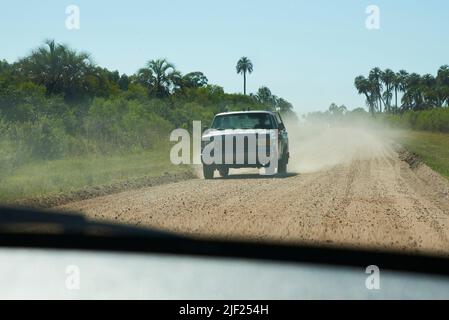 Se déplaçant en voiture sur une route de terre à l'intérieur du parc national d'El Palmar, à entre Rios, en Argentine, une zone protégée où se trouve le palmier endémique de Butia yatay Banque D'Images