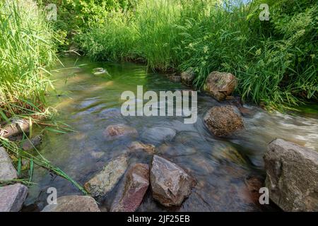 Parc de Cherry Spring et nature sauvage dans la lumière du matin de l'État de l'Idaho. Banque D'Images