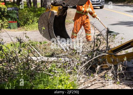 Vue en gros plan sur le bras hydraulique d'une pelle hydraulique en cours de travail, en éliminant les branches d'arbres et les débris de la route après une tempête, homme avec râteau en arrière-plan. Banque D'Images