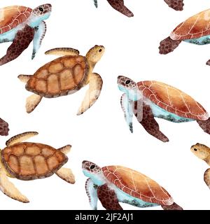 Motif aquarelle dessiné à la main avec tortue. Océan marin animal marin, marin sous-marin espèces de mammifères en voie de disparition. Illustration bleu-gris pour la décoration de chambre de bébé en tissu, sous les imprimés de mer Banque D'Images