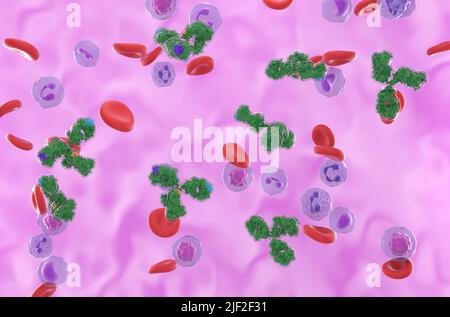 Anticorps monoclonaux (IgG) molécules biotechniques contre les leucémies, les lymphomes et la polyarthrite rhumatoïde - vue isométrique 3D illustration Banque D'Images