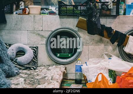 Kharkiv, Ukraine. 26th avril 2022. Un chat est assis à son endroit à côté des escaliers. La plupart des gens vivent dans la station de métro Heroiv Pratsi à Kharkiv depuis le début de la guerre. Certains d'entre eux ont perdu leur maison et leurs effets personnels lors de l'évacuation. En raison des bombardements constants dans la ville, les gens passent la plupart du temps à l'intérieur de la gare. Les bénévoles leur fournissent chaque jour de la nourriture et des médicaments. (Photo par Lara Hauser/SOPA Images/Sipa USA) crédit: SIPA USA/Alay Live News Banque D'Images