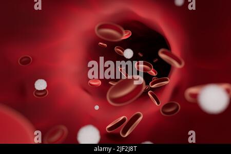 Globules rouges et blancs dans les vaisseaux sanguins, rendu 3D. Dessin numérique informatique. Banque D'Images