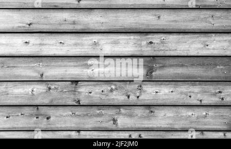 Mur en bois gris naturel. Texture de photo d'arrière-plan plat frontal, monochrome Banque D'Images