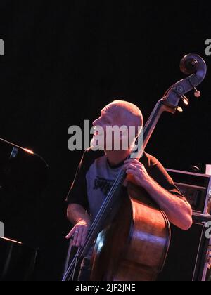 Vérone, Italie. 26th juin 2022. Avishai Cohen pendant LE TRIO AVISHAI COHEN, concert de musique à Vérone, Italie, 26 juin 2022 crédit: Agence de photo indépendante/Alamy Live News Banque D'Images