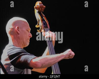 Vérone, Italie. 26th juin 2022. Avishai Cohen pendant LE TRIO AVISHAI COHEN, concert de musique à Vérone, Italie, 26 juin 2022 crédit: Agence de photo indépendante/Alamy Live News Banque D'Images