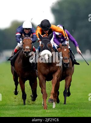 Photo du dossier en date du 13-10-2021 de Raasel monté par William Buick (centre). L'ascension de Raasel vers le haut de l'échelle de Sprinting peut en avoir surpris certains avant sa sortie dans la charge de corail à Sandown samedi - mais pas ses spremans propriétaires qui l'ont happé pour un maigre 10 000 guineas. Date de publication : mercredi 29 juin 2022. Banque D'Images