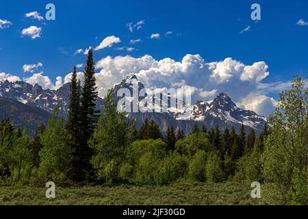 C'est une vue de Grand Teton Peak (au centre) le plus haut sommet de la chaîne de Teton dans le parc national de Grand Teton, Wyoming, États-Unis. Banque D'Images