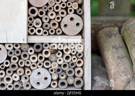 Un hôtel d'insectes pour les abeilles, les guêpes et autres insectes faits de bois ancien. Banque D'Images