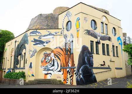 UTILISATION ÉDITORIALE UNIQUEMENT vues générales d'une œuvre d'extinction Jane mutiny, collaboratrice de la rébellion et artiste de rue au zoo de Londres ZSL, représentant une fresque murale d'espèces menacées soignées sur le site avant qu'elle ne soit exposée au public lors du premier événement « ouverture au crépuscule » Jeudi. Date de la photo: Mercredi 29 juin 2022. Banque D'Images