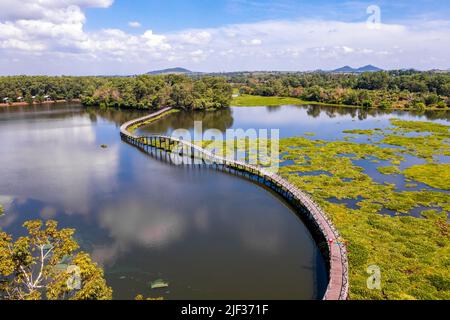 Étang de Nong Yai et Pont en bois à Chumphon, Thaïlande Banque D'Images