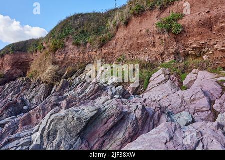 Les roches du Dévonien inférieur se superposent à la tête périglacérale de la plage de Wembury à Devon Banque D'Images