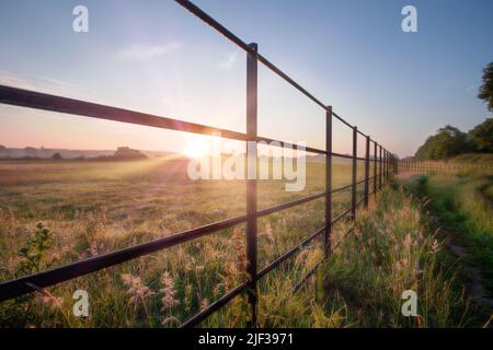 Clôture de ferme agricole métallique et paysage de prairie sauvage au lever du soleil à Norfolk. Ciel dégagé à l'aube avec sentier Banque D'Images