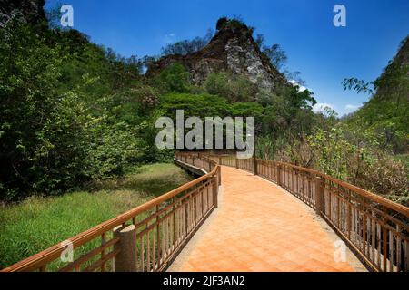 Courbe de la passerelle dans le parc naturel coupe à travers les forêts tropicales d'asie pour les touristes à marcher à travers la beauté de la nature. Banque D'Images