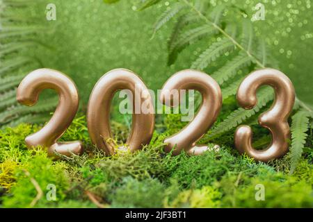 2023 numéros dorés sur une composition verte avec mousse, fougère et paillettes. Photographie en studio d'une nouvelle année. Banque D'Images