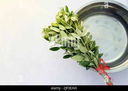 Semaine Sainte. Faisceau de branches et de bassin avec de l'eau sainte à saupoudrer. Célébration catholique traditionnelle Palm dimanche. Foi chrétienne. Symbole religieux. Banque D'Images