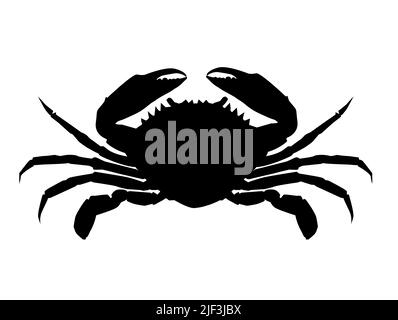 crabe réaliste sur fond blanc. silhouette de crabe brun. panneau de crabe. style plat. Banque D'Images