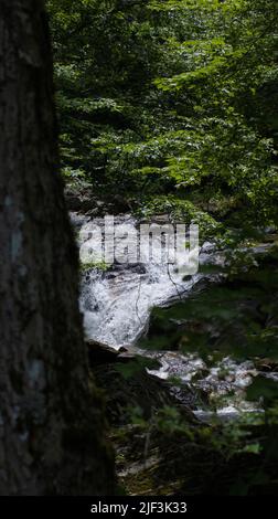 Une photo verticale de la rivière dans le parc régional de Kent Falls, Connecticut, États-Unis. Banque D'Images