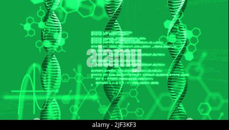 Image du brin d'adn et du traitement des données sur fond vert Banque D'Images