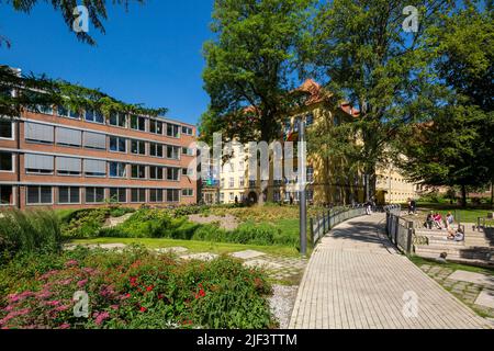 Allemagne, Coesfeld, Berkel, Baumberge, Muensterland, Westphalie, Rhénanie-du-Nord-Westphalie, NRW, Schlosspark Coesfeld, école de Liebfrauen à gauche et ancien palais de la ville de Coesfeld également appelé Liebfrauenburg derrière, parc public, chemin de transport, pont de Berkel, peuple Banque D'Images