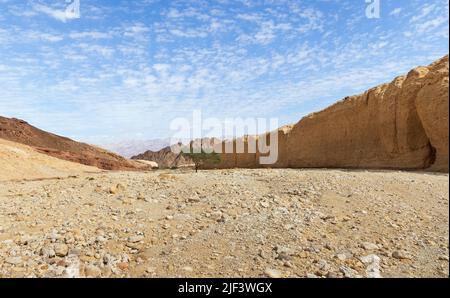 Magnifique Shkhoret Canyon dans le désert d'Arava en Israël Banque D'Images